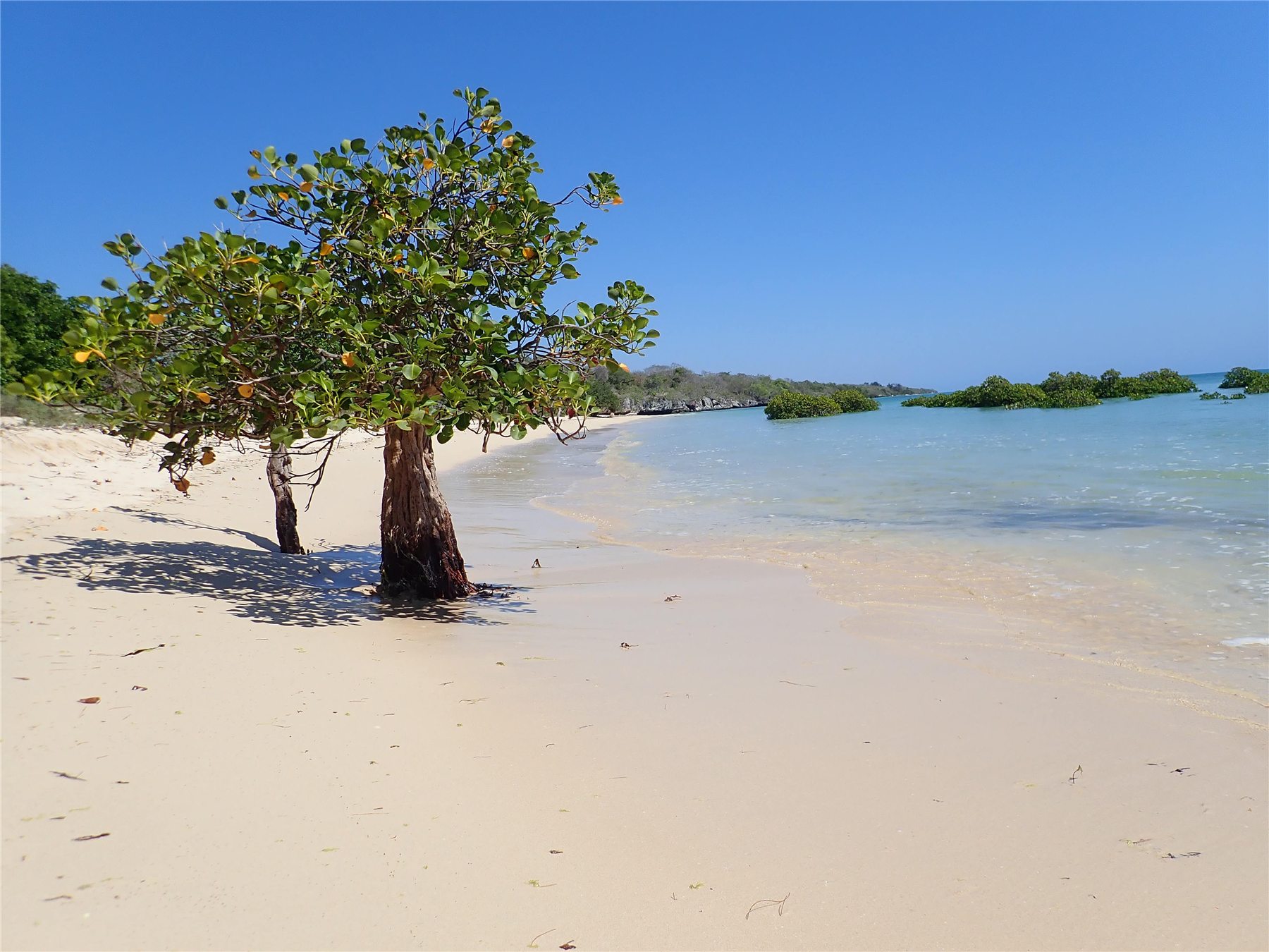 Beach and mangrove landscape around Nila Resort