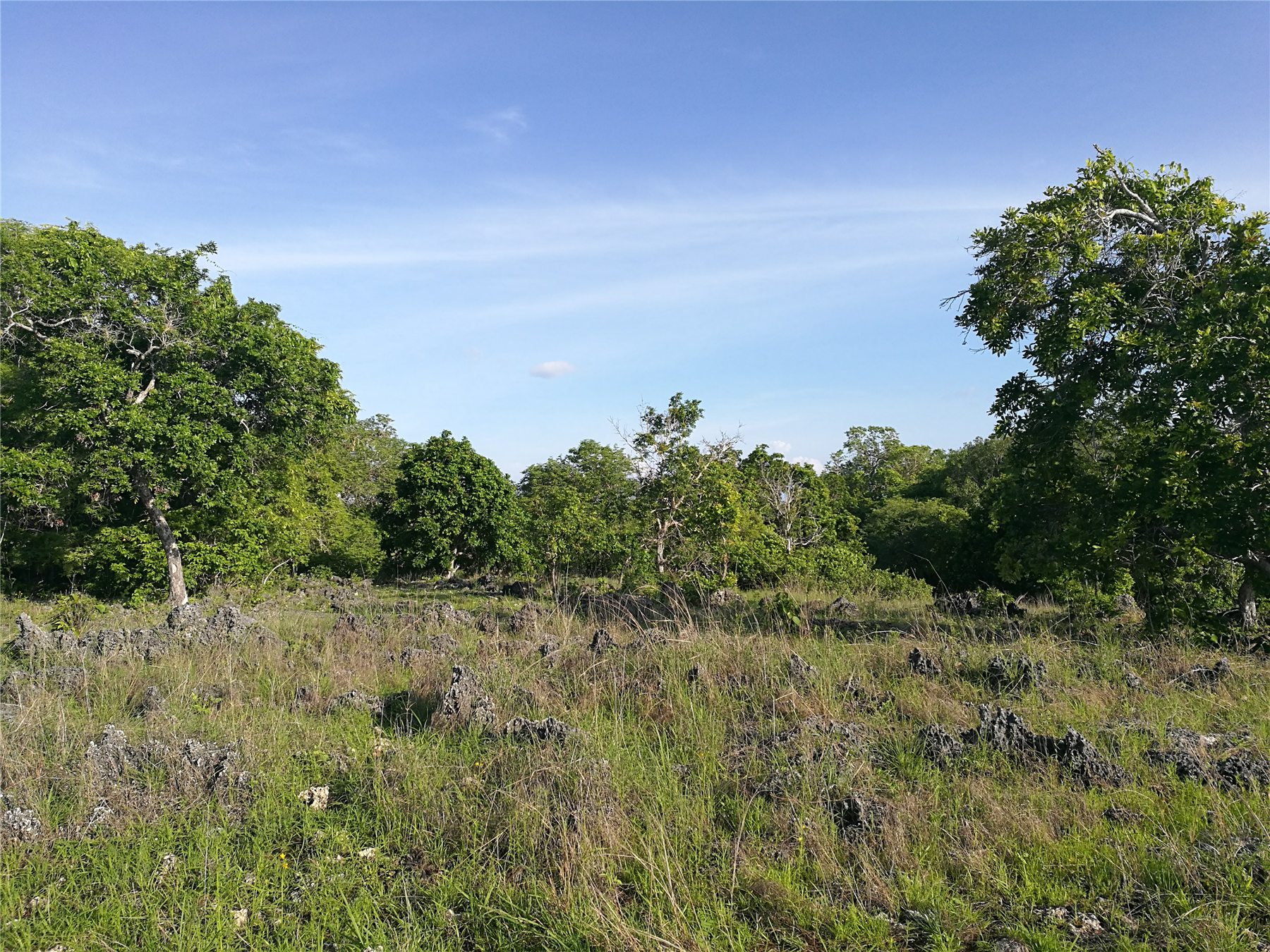 Natural limestone terrain on the Nila Resort site